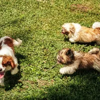 processed/929d2afc-5dc9-438a-8113-41bc83a0033d/facility/e20eac8b-154a-4054-832b-ce245aa4a5c3