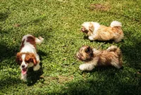 processed/929d2afc-5dc9-438a-8113-41bc83a0033d/facility/e20eac8b-154a-4054-832b-ce245aa4a5c3