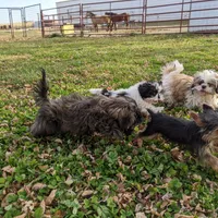 processed/929d2afc-5dc9-438a-8113-41bc83a0033d/facility/e442acc5-22aa-44c7-873c-50dc53879614