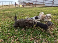 processed/929d2afc-5dc9-438a-8113-41bc83a0033d/facility/e442acc5-22aa-44c7-873c-50dc53879614