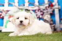 processed/929d2afc-5dc9-438a-8113-41bc83a0033d/listing/04c41371-ff7a-449c-b6d7-50c85202bfff/8550d90f-881e-48b5-806c-05a3f583a2a6