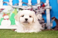 processed/929d2afc-5dc9-438a-8113-41bc83a0033d/listing/04c41371-ff7a-449c-b6d7-50c85202bfff/90c4e18b-fed6-4813-a8b8-77ea2c281259