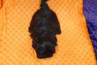 processed/929d2afc-5dc9-438a-8113-41bc83a0033d/listing/2600d0be-035c-4632-879b-aed774c4ce71/04c6f273-80de-4c10-ac4c-d390f36393ad