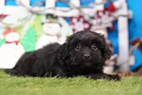 processed/929d2afc-5dc9-438a-8113-41bc83a0033d/listing/2600d0be-035c-4632-879b-aed774c4ce71/0eeae8ff-a381-4058-bdb7-3c9a434b7897