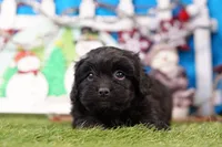 processed/929d2afc-5dc9-438a-8113-41bc83a0033d/listing/2600d0be-035c-4632-879b-aed774c4ce71/8d3db91f-dc2f-497a-95fc-cf6755515ed6