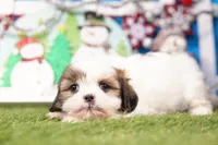 processed/929d2afc-5dc9-438a-8113-41bc83a0033d/listing/26b8abca-8827-4850-97d6-0f93d8a5f20f/225ecf19-209c-49cb-9a08-8b601e1e7ddd