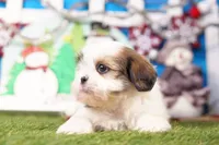 processed/929d2afc-5dc9-438a-8113-41bc83a0033d/listing/26b8abca-8827-4850-97d6-0f93d8a5f20f/2989158b-3dd7-4fcc-ac56-591c5d1bc9e3