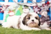 processed/929d2afc-5dc9-438a-8113-41bc83a0033d/listing/26b8abca-8827-4850-97d6-0f93d8a5f20f/9a7afd05-7ed0-49bb-a8df-a9d207f161d1