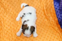 processed/929d2afc-5dc9-438a-8113-41bc83a0033d/listing/26b8abca-8827-4850-97d6-0f93d8a5f20f/a8014e4c-5925-46d8-b3f9-ed793b3bb419