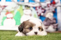 processed/929d2afc-5dc9-438a-8113-41bc83a0033d/listing/26b8abca-8827-4850-97d6-0f93d8a5f20f/d7f2bea7-ed64-46ac-a265-e59faf3747fc