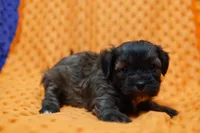 processed/929d2afc-5dc9-438a-8113-41bc83a0033d/listing/340bc018-b67b-4eca-8446-b3f65b64c0b0/6a6c1e2d-1b13-4b7b-b352-3419830cd228