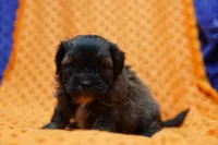 processed/929d2afc-5dc9-438a-8113-41bc83a0033d/listing/340bc018-b67b-4eca-8446-b3f65b64c0b0/efc68a2a-3c22-4caa-8f13-61f1b820bee4