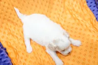 processed/929d2afc-5dc9-438a-8113-41bc83a0033d/listing/3853e623-4487-455d-8e02-c3d077f16b61/27ae540a-132f-42dc-b6f1-045b099755aa