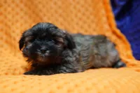 processed/929d2afc-5dc9-438a-8113-41bc83a0033d/listing/430089a0-9543-4a17-b899-3a6c4aa44516/07987102-0e1c-40ea-8aca-9645446ed8bb