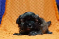 processed/929d2afc-5dc9-438a-8113-41bc83a0033d/listing/430089a0-9543-4a17-b899-3a6c4aa44516/5f0c11e9-2699-4d3a-a4a5-dcbf30661f66