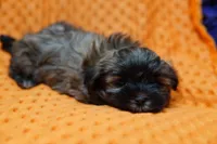 processed/929d2afc-5dc9-438a-8113-41bc83a0033d/listing/430089a0-9543-4a17-b899-3a6c4aa44516/80a6eccc-9c57-4ec5-9ed8-7cdacb463866