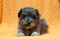 processed/929d2afc-5dc9-438a-8113-41bc83a0033d/listing/4746a0fe-3c96-4c4a-a256-198f7f9c1675/0c2a5e6a-81ed-4b0b-9c6e-2dd606ccc610