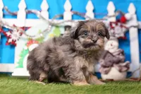 processed/929d2afc-5dc9-438a-8113-41bc83a0033d/listing/4746a0fe-3c96-4c4a-a256-198f7f9c1675/33c4e66d-be89-49b4-ab7b-73abe403291d