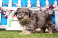 processed/929d2afc-5dc9-438a-8113-41bc83a0033d/listing/4746a0fe-3c96-4c4a-a256-198f7f9c1675/774ace3a-5a48-4c64-978c-7557fa365c3c