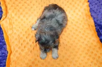 processed/929d2afc-5dc9-438a-8113-41bc83a0033d/listing/4746a0fe-3c96-4c4a-a256-198f7f9c1675/c6dfd24f-251d-47e3-8a2c-1dcdb2694242