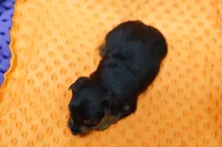 processed/929d2afc-5dc9-438a-8113-41bc83a0033d/listing/47ededfc-16d0-42df-b930-22326a919afe/8abaf66a-71b1-4b78-b15f-e78e6bf209ed