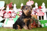 processed/929d2afc-5dc9-438a-8113-41bc83a0033d/listing/47ededfc-16d0-42df-b930-22326a919afe/c621d505-78a2-4316-9d15-b9cd7ed5ebb5