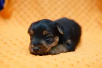 processed/929d2afc-5dc9-438a-8113-41bc83a0033d/listing/47ededfc-16d0-42df-b930-22326a919afe/ccc8a9a7-d921-478e-b236-6aac8c0e8576