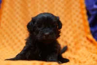 processed/929d2afc-5dc9-438a-8113-41bc83a0033d/listing/616394e0-9e06-4f34-a23f-4a83cdc8e8b8/d7898177-30e1-4142-a292-30c533eaaa8f