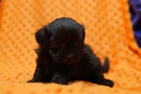 processed/929d2afc-5dc9-438a-8113-41bc83a0033d/listing/616394e0-9e06-4f34-a23f-4a83cdc8e8b8/ee212f18-80c5-414b-889c-440eccd156f0