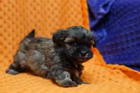 processed/929d2afc-5dc9-438a-8113-41bc83a0033d/listing/61b4a7e8-e4a6-4a68-a5e0-294476756f4c/198bc55a-e646-4d42-9913-765fe9c6b0ae