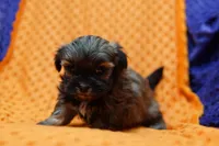 processed/929d2afc-5dc9-438a-8113-41bc83a0033d/listing/61b4a7e8-e4a6-4a68-a5e0-294476756f4c/1e55cfd2-7f33-47ee-b05d-1b32c21cc60a