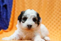 processed/929d2afc-5dc9-438a-8113-41bc83a0033d/listing/8f32b525-d44e-49fd-a651-d3d74c87a28d/8cae7e03-be39-4017-a0ec-0f45fce84ca6