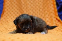 processed/929d2afc-5dc9-438a-8113-41bc83a0033d/listing/aa0e1e93-bea2-451c-a4ac-9ce704700eae/c179f783-60cd-48b0-b187-0428da9c80a9