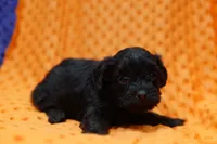 processed/929d2afc-5dc9-438a-8113-41bc83a0033d/listing/de5d4fc1-1cf8-4f50-b24b-1dcca5de3068/5cbe14d2-2fd8-41d4-8275-6e3b8d444a50