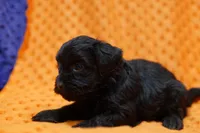 processed/929d2afc-5dc9-438a-8113-41bc83a0033d/listing/de5d4fc1-1cf8-4f50-b24b-1dcca5de3068/78091cb0-e898-4c4c-ba2e-8f78026593b7