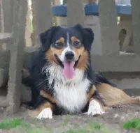 processed/92a91c76-39dd-460c-a5fe-cd57c417ef3a/facility/050b0ade-11cb-4ae3-8b94-aa09b5e53c97