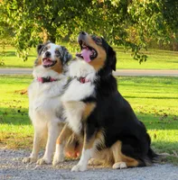 processed/92a91c76-39dd-460c-a5fe-cd57c417ef3a/facility/23d154b8-d450-474d-9b00-c9b730166c84