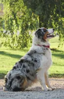 processed/92a91c76-39dd-460c-a5fe-cd57c417ef3a/facility/68d76771-04f9-4241-a091-46eb3510360e