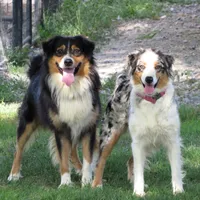 processed/92a91c76-39dd-460c-a5fe-cd57c417ef3a/facility/8b77cc50-4734-4d50-adce-6e802e829878