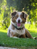 processed/92a91c76-39dd-460c-a5fe-cd57c417ef3a/facility/d6369d95-bdf1-4ffb-998c-9ebd62062347