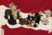 processed/92a91c76-39dd-460c-a5fe-cd57c417ef3a/facility/ea46f218-e072-44b2-858d-18964f55b109