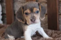 processed/92b48d51-cb42-45c8-8c29-7c245355d796/listing/1506a077-2683-438c-bf20-146290bd85d9/091b8ac9-f4bd-4f12-b555-98b253082754