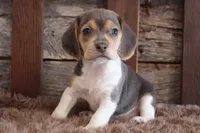 processed/92b48d51-cb42-45c8-8c29-7c245355d796/listing/1506a077-2683-438c-bf20-146290bd85d9/39369fbf-6882-43db-a785-7fe838bc77cd