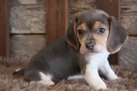 processed/92b48d51-cb42-45c8-8c29-7c245355d796/listing/1506a077-2683-438c-bf20-146290bd85d9/82c2d56a-afa9-4fe2-91b4-34c2fafa0ca5