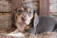 processed/92b48d51-cb42-45c8-8c29-7c245355d796/listing/220207c6-0512-431b-babd-60d82e0e77ae/2bb7f46c-8a2a-4b99-af2b-afa3bb92d402