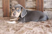 processed/92b48d51-cb42-45c8-8c29-7c245355d796/listing/220207c6-0512-431b-babd-60d82e0e77ae/2fa14438-87e7-4295-8394-4117a1b91072