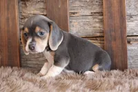 processed/92b48d51-cb42-45c8-8c29-7c245355d796/listing/240941bd-c52c-4a9e-add1-6bf523595ace/48346403-74a0-41fd-90d2-a70356098605