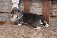 processed/92b48d51-cb42-45c8-8c29-7c245355d796/listing/240941bd-c52c-4a9e-add1-6bf523595ace/6bfa979a-ff73-47c6-a351-8fe51add7602