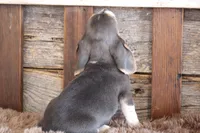 processed/92b48d51-cb42-45c8-8c29-7c245355d796/listing/240941bd-c52c-4a9e-add1-6bf523595ace/f277202f-2789-41eb-8a73-979ff2fcaada