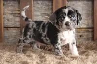 processed/92b48d51-cb42-45c8-8c29-7c245355d796/listing/2ca3698a-bf9a-44e5-b6fa-75d73671f00d/6f4de285-9087-48d5-a145-26c1eaf67f38